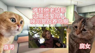 【猫meme/假面骑士OOO】腐女：麦太大了/直男：很合理啊