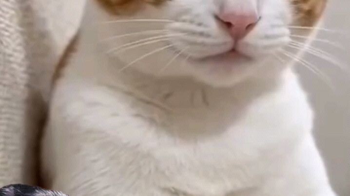 搞笑视频