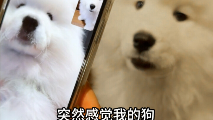 完辣！！！！！