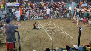 kanawayon hatch toppy 2hits champ NBCA