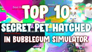 Top 10 SECRET Pet HATCHED in Bubblegum Simulator! (Roblox)