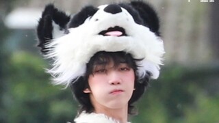 【Xu Minghao】Youth Travels Freckles Blush Puppy Style يصبح اتجاه الجمال ‼ ️معجبو السنة الأولى في غاية