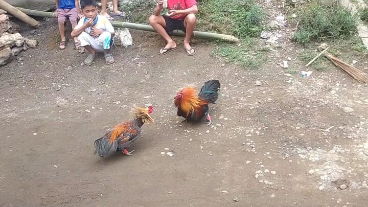 tatay vs anak
