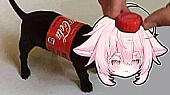 Are you going to be a dog? 😡