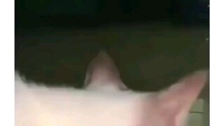 Here comes 😼😼😼💯🔥