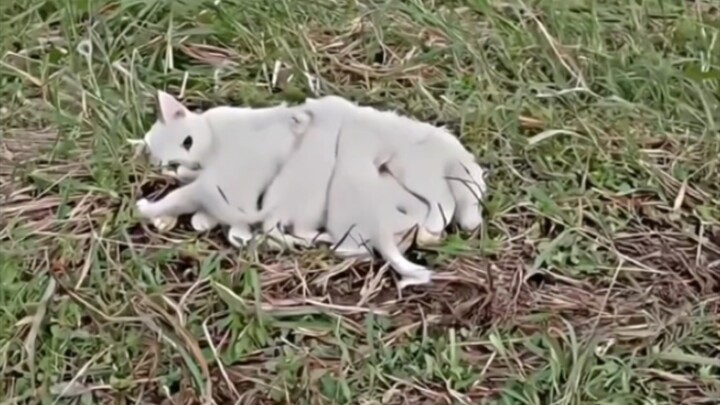 “Sampai di sini, sudah jadi seni”