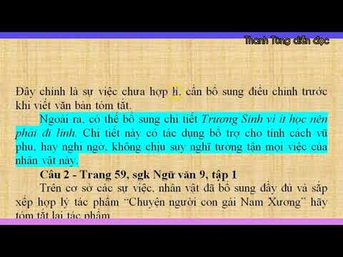 LUYỆN TẬP TÓM TẮT TÁC PHẨM TỰ SỰ, Hướng dẫn soạn văn 9, @Thanh Tùng diễn đọc văn học trường học