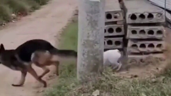 Kakak yang pernah kamu panggil itu, ketika menghadapi masalah saja belum sehebat dirimu