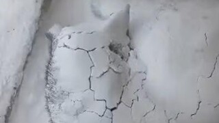 ไม่หนาวรึไง