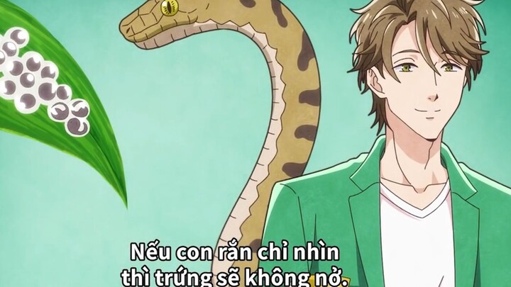 Nó lại còn nuôi trứng con trên tán lá được nữa là - #anime