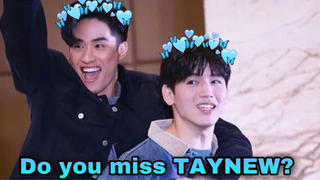 ช่วงเวลาที่โดดเด่นและน่าจดจำของ Taynew ร่วมกันตลอดทั้งปี ที่สุดของไทย