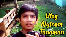 Nyiram Tanaman dan Rumpu Karpet by Diary Rumahan