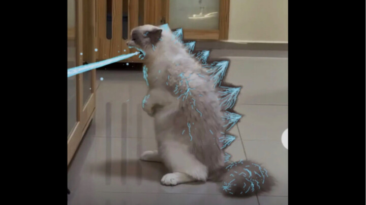 猫咪进化～喵斯拉