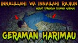 🔴 1061- SUARA GERAMAN SILUMAN HARIMAU JUGA MAU DURIAN