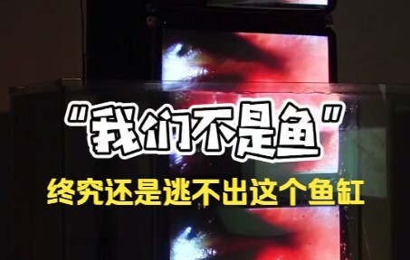 نحن لسنا سمكًا، فماذا تعبر هذه القطعة الفنية؟