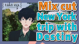[Takt Op. Destiny]  Mix cut | New York trip with Destiny