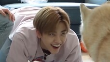 The dog that Luo Yunmin has been teasing seems to like Xu Minghao very much haha