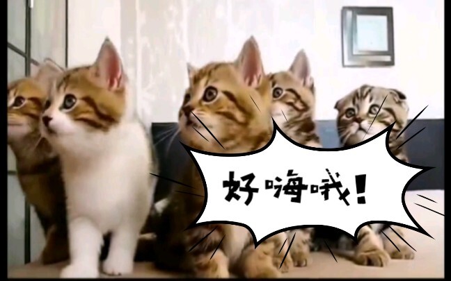 There’s No Beast Realm in Music