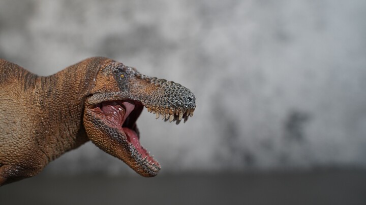 Restorasi ilmiah, sorotan produk dalam negeri - evaluasi PNSO Tyrannosaurus rex