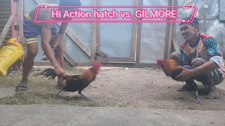 High action hatch vs. Gilmore