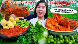 MAKAN IKAN GULAI PEDAS SAYUR REBUS SAMBEL TERASI LALAPAN  JENGKOL MENTAH CAMPUR PETE LEUNCA