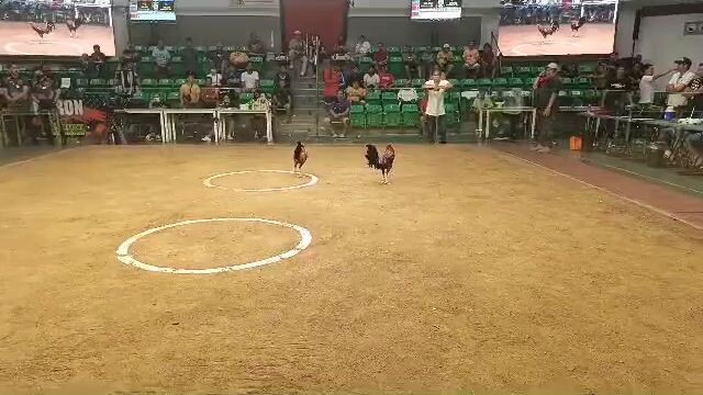 Nov. 4, 2025 1st fight Lose at Manila Arena