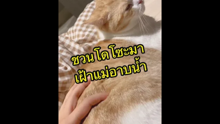 ลูกชั้นเป็นเด็กกตัญญู