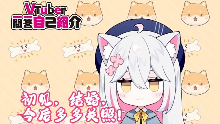【B站入驻自我介绍】Vtuber一问一答自我介绍!【Momohane Vtuber】