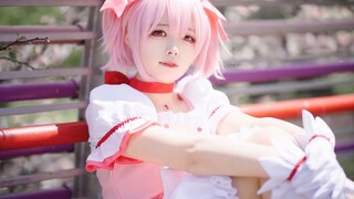 Sakura và bầu trời xanh, hãy lập giao ước với tôi! Madoka cos ｜ 4K