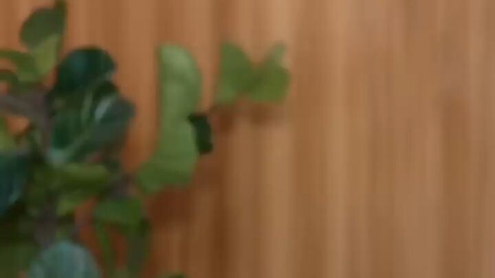 [เต็มเรื่อง]วิญญาณเจ้าพ่อสิงร่างเด็ก 8 ขวบ ทำซีอีโอพันล้านคุกเข่าเรียกพ่อทันที