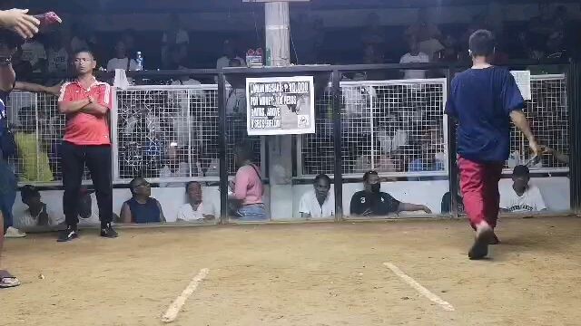 1st Fight Win, 4cock Derby