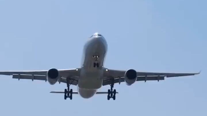 ขอโทษที พอดีพ่อฉันเป็นประธาน