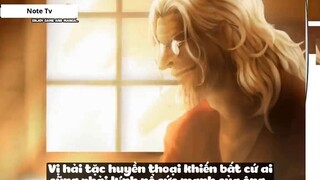 Top 7 Người Dùng Được 3 Loại Haki Trong One Piece #19- 7