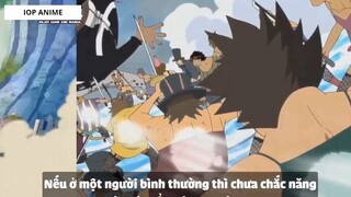 Top 7 Trái Paramecia Phòng Thủ Cực Mạnh Trong One Piece #2 4