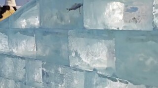 วิดีโอสั้นที่แฟนสาวส่งมาจากโลกน้ำแข็งและหิมะฮาร์บิน