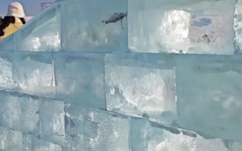A short video sent by my girlfriend from Harbin Ice and Snow World