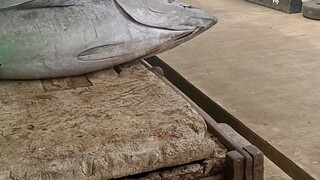 mati fishings malaki ang isda