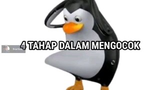 4 tahap dalam mengocogs