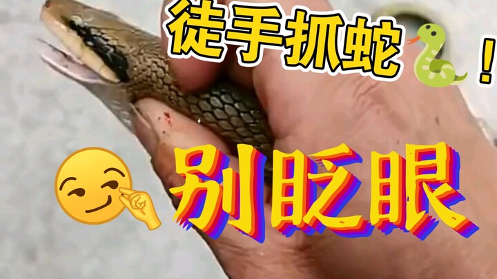 If you get bitten by this kind of snake, don’t panic—quickly lie down under a shady tree to avoid th