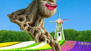 Will you help Grandpa Tree?