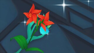 【危险派对】小灯草和风车菊