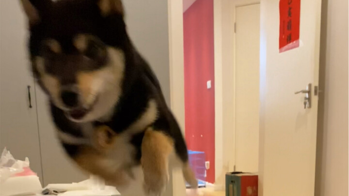 معركة الدفاع عن غرفة النوم 2