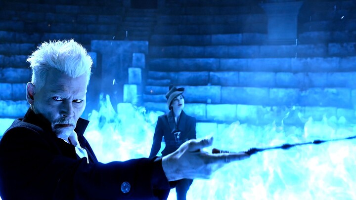 "Do you think Dumbledore will mourn for you?" Grindelwald gave you a disdainful look