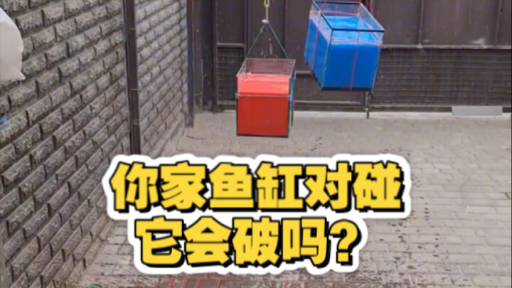 你家鱼缸对对碰？碰多少下才会破？