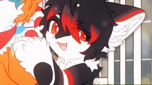 We are proud of our stubbornness, we never give up!