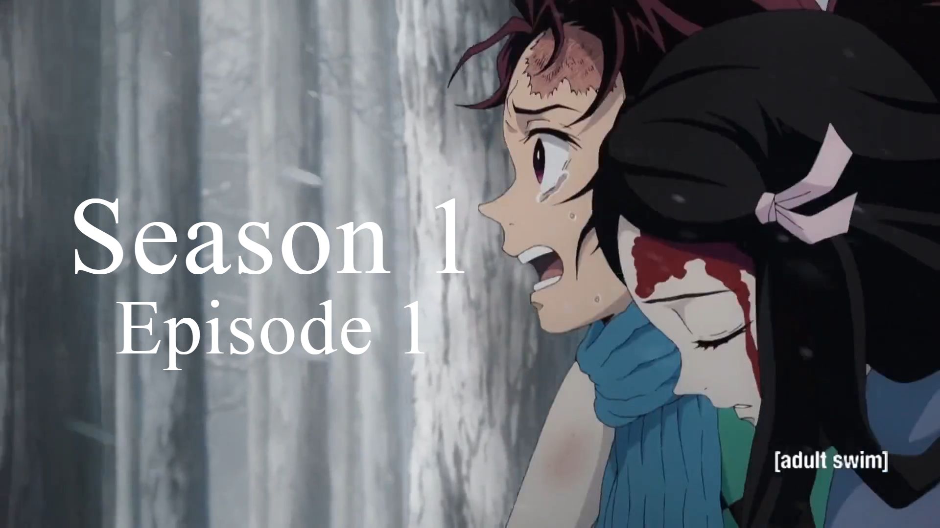 Demon Slayer Saison 1 Episode 1 Demon Slayer (Kimetsu no Yaiba) S01 E01 | English Dubbed · Cruelty -  Bilibili