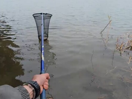 คุณปล่อยปลา….ผมรับมือปลา… นักตกปลา #ลูไอ #ตกปลา #ปล่อยปลา