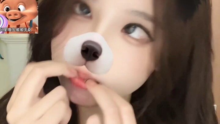 تم تحديث موقع Bilibili، يا جماعة! سارعوا للاطلاع!