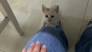 Bác sĩ nói con nhà tôi lớn lên sẽ hơi đồi bại, tôi nghĩ nó có thể đồi bại đến mức nào chứ