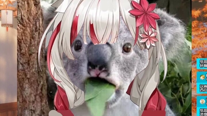 [Xuan Xiaozhi×Tang Jiuxia] Jiuxia Big Colander?! Xuan Xiaozhi's Pull is exposed, and the American Ja